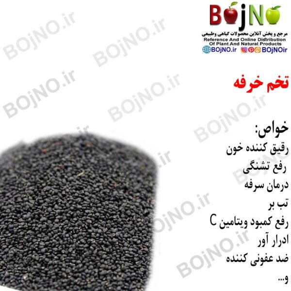 تخم خرفه 100گرمی