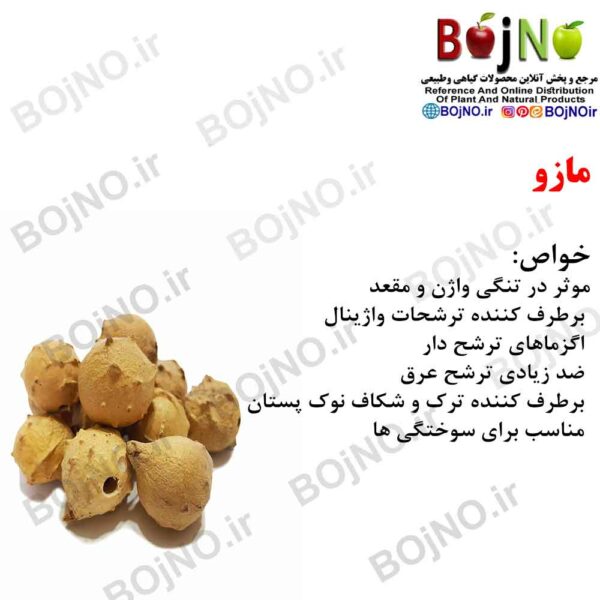 مازو 100 گرمی