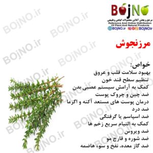 مرزنجوش 100 گرمی