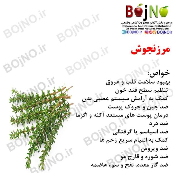 مرزنجوش 100 گرمی