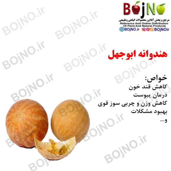 هندوانه ابوجهل