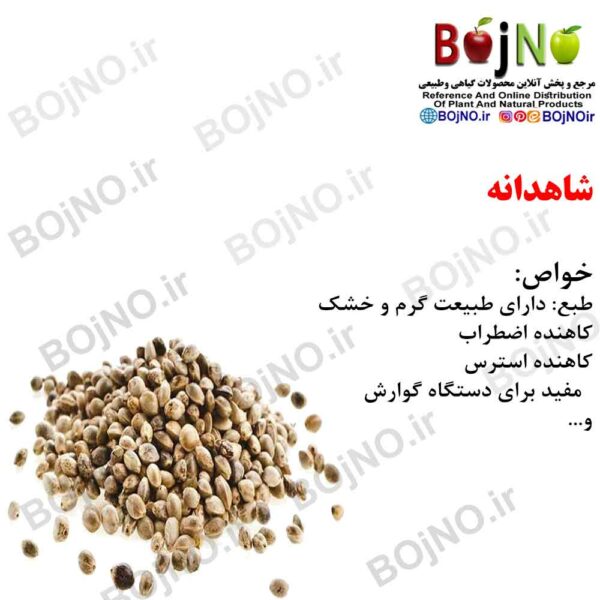 شاهدانه 100گرمی