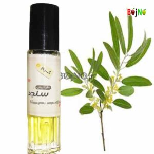 عطر سنجد گیاهی Herbal Russian Olive sex perfume عطر سنجاد الجنسي العشبي