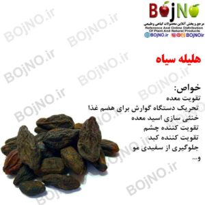 هلیله سیاه 100 گرمی