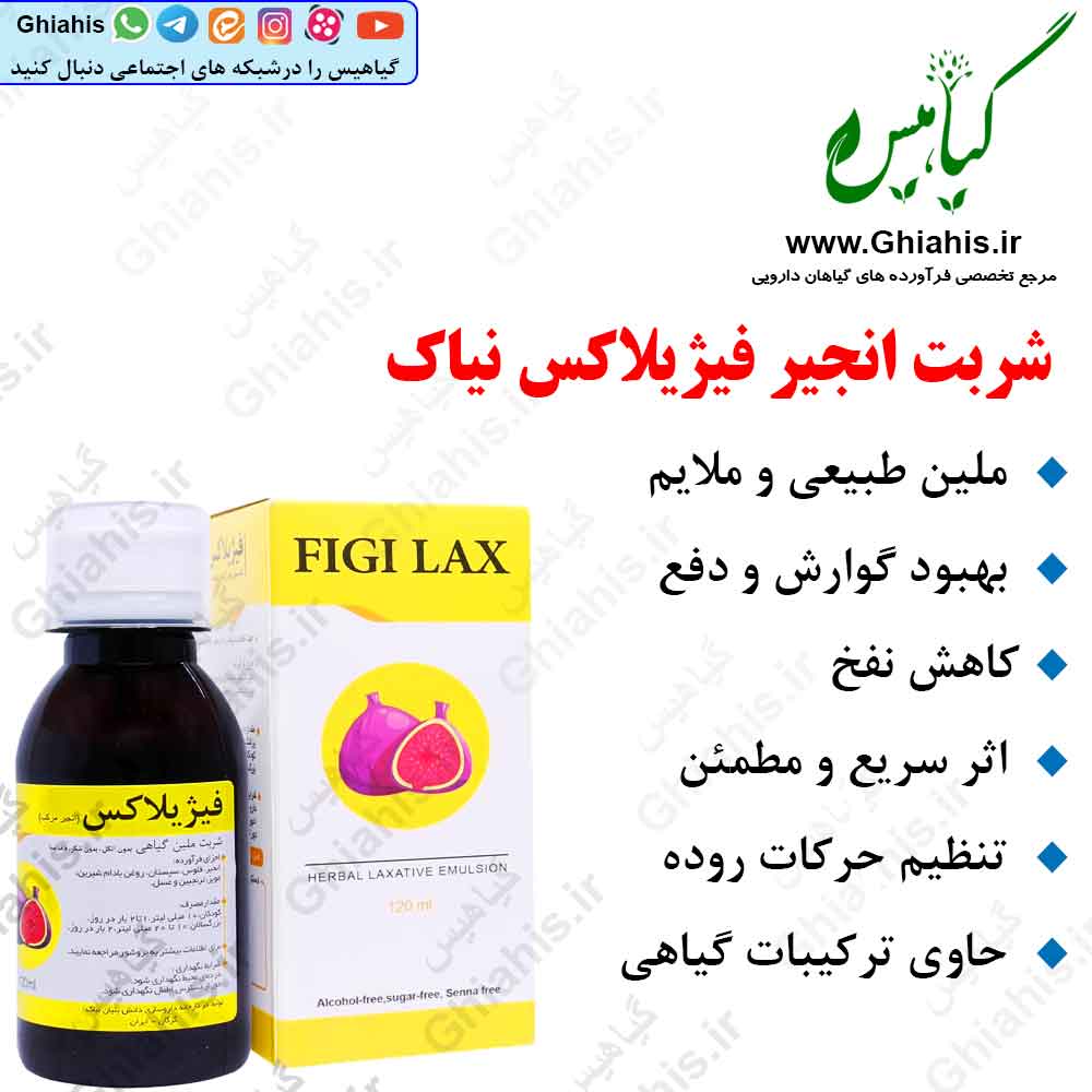 شربت انجیر فیژیلاکس نیاک شربت انجیر فیژیلاکس نیاک