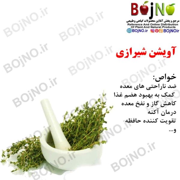 آویشن شیرازی