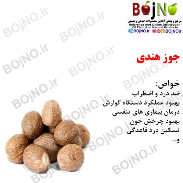 جوز هندی