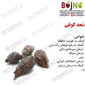 سُعد کوفی