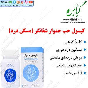 کپسول حب جدوار شفانگر