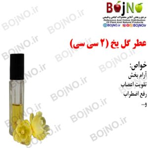 عطر گل یخ طبیعی