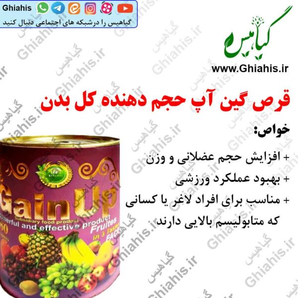 چاق کننده قرص گین آپ