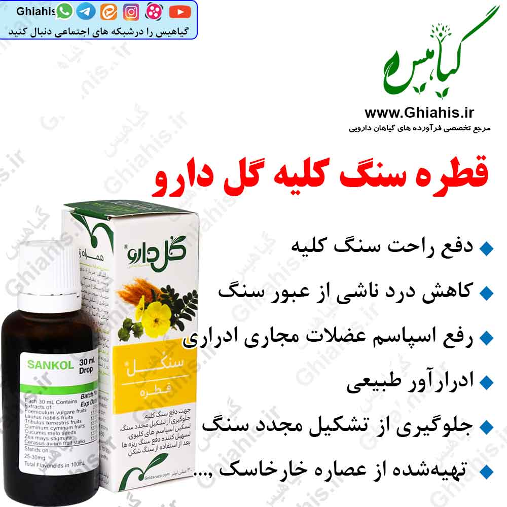 قطره سنکل گل دارو (دفع سنگ کلیه) قطره سنکل گل دارو (دفع سنگ کلیه)