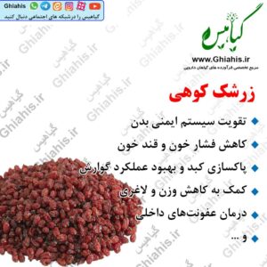 زرشک کوهی