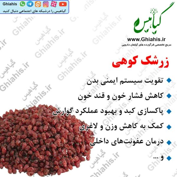 زرشک کوهی