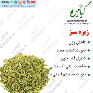 زیره سبز 100گرمی
