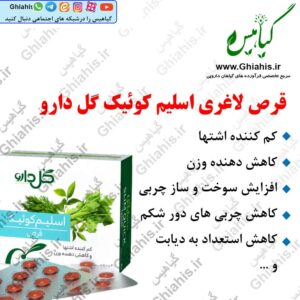 قرص لاغری اسلیم کوئیک گل دارو