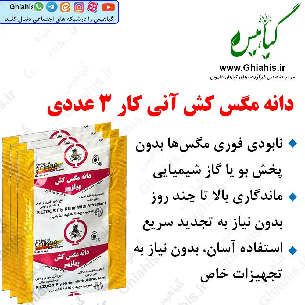 دانه مگس کش آنی کار دانه مگس کش آنی کار