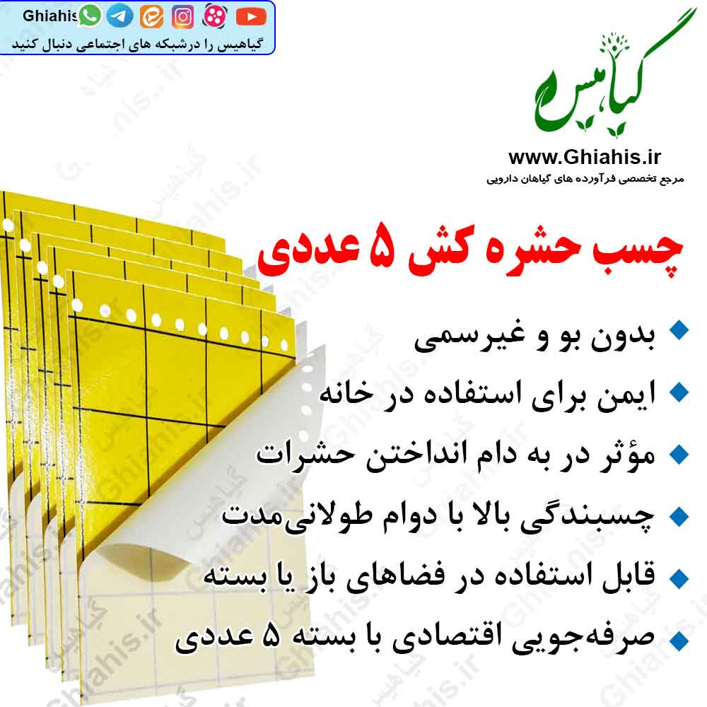 چسب حشره کش ۵ عددی چسب حشره کش ۵ عددی