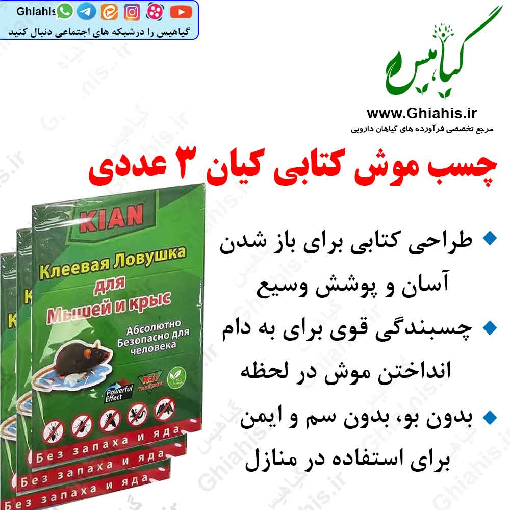چسب موش کتابی کیان 3 عددی چسب موش کتابی کیان 3 عددی