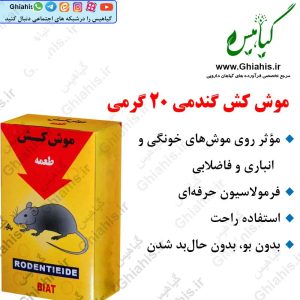 موش کش گندمی ٢٠ گرمی