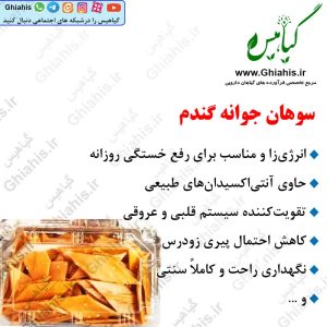 سوهان جوانه گندم