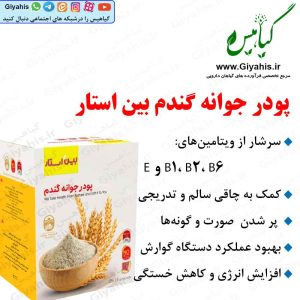 پودر جوانه گندم بین استار