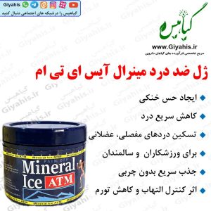 ژل ضد درد مینرال آیس ای تی ام