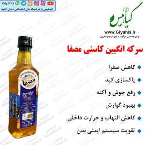 سرکه انگبین کاسنی مصفا