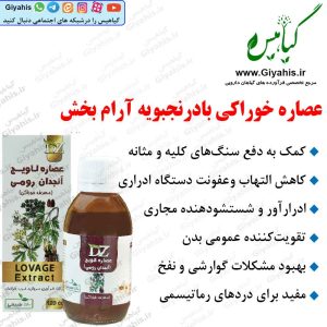 عصاره انجدان رومی سنگ کلیه دکتر زرقانی